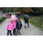 k-IMG_1929.jpg